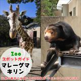 4月16日はマレーグマとアミメキリン