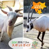 2016年7月3日(日)のスポットガイド