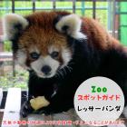 9月22日はレッサーパンダ