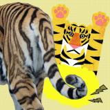 動物情報館ZooLab「トラのしっぽを作ろう！」