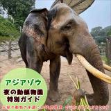 アジアゾウ「夜の動植物園」特別ガイドを開催します