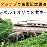 【参加者募集】12月21日(土)、12月22日(日)動物情報館教育プログラム 「アジアゾウ来園記念講演～ボルネオゾウと共生～」を開催します(事前申込・先着順)