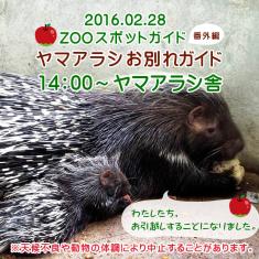 2016年2月28日(日)ヤマアラシお別れガイド14：00～ヤマアラシ舎