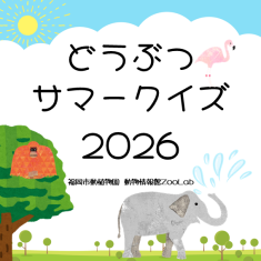 どうぶつサマークイズ2026のサムネイル画像（ゾウのイラスト）