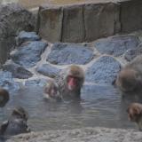 サポーターズデイ『1月のバックヤードガイド』