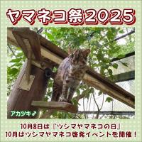 「ヤマネコ祭2025」を開催します