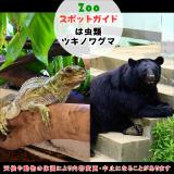 7月13日は、は虫類とツキノワグマ
