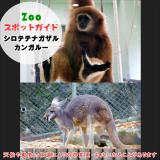 1月25日はシロテテナガザルとカンガルー