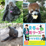 『青春のメモリーズ― ワクワク撮影会』～残念なイケメン「もりすけ」＆杉山39がやって来る～ 