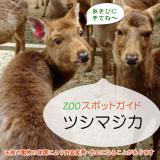 2016年5月29日(日)のスポットガイド
