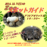 2014年12月7日(日)のスポットガイド
