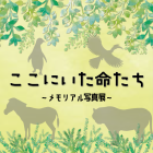 動物情報館ZooLab「ここにいた命たち」
