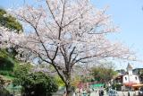 ３月３０日(月）は開園します