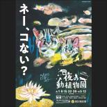 今年も「夜の動植物園」を開催します