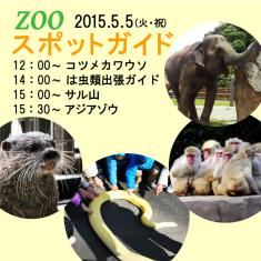 2015年5月5日(火・祝)のスポットガイドは，12：00～コツメカワウソ，14：00～神出鬼没，は虫類出張ガイド，15：00～サル山，15：30～アジアゾウ