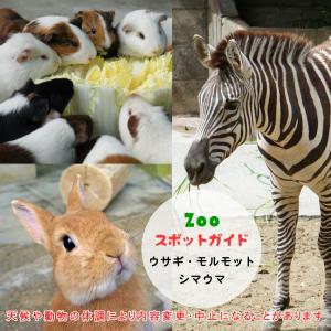 飼育員によるZOOスポットガイド。 当園に暮らす動物たちのお話を中心に、生態やエサについて担当飼育員が楽しくご紹介します。