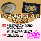 金運アップ!?「ヘビの抜け殻お守り」を限定配布