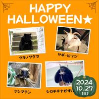 10月27日(日)「ハロウィン」もぐもぐタイムを開催します