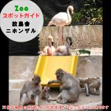 7月20日は放鳥舎とニホンザル
