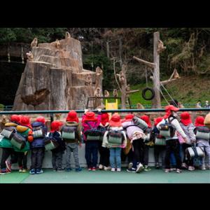 第42回福岡市動物園写真コンテスト入賞作品「園長賞」、撮影者／奈良 秀光