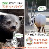2015年11月29日(日)のスポットガイド