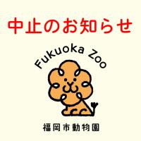 動物園サマースクール中止のお知らせ