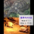 「世界カメの日」特別ガイドを開催します