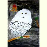 第50回 児童および幼児動物画コンクール　作品展