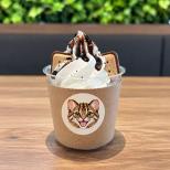 福岡ECO動物海洋専門学校の学生が企画したツシマヤマネコソフトクリームを販売します!