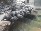 9月5日(土)「夜の動植物園」スポットガイド