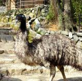 サポーターズデイ『6月のバックヤードガイド』