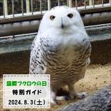 「国際フクロウの日」特別ガイドを開催します