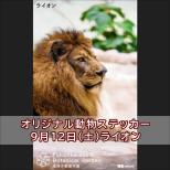 公共交通機関で「夜の動植物園」に来園した方へ「オリジナル動物ステッカー」をプレゼント♪