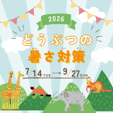 動物情報館ZooLab「どうぶつの暑さ対策」