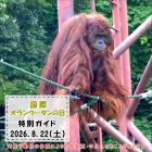 「国際オランウータンの日」特別ガイドを開催します