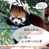 2016年1月31日(日)のスポットガイド