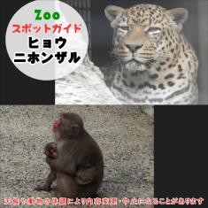 飼育員によるZOOスポットガイド。 当園に暮らす動物たちのお話を中心に、生態やエサについて担当飼育員が楽しくご紹介します。