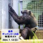 「世界チンパンジーの日」特別ガイドを開催します