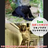 1月18日はツキノワグマとツシマヤマネコ