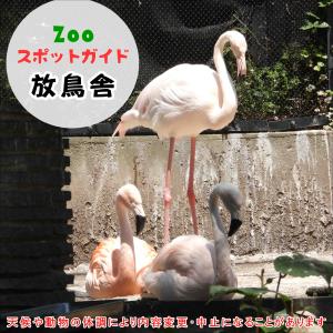 アジアゾウとフンボルトペンギン