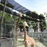 サポーターズデイ『9月のバックヤードガイド』