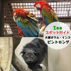 飼育員によるZOOスポットガイド。 当園に暮らす動物たちのお話を中心に、生態やエサについて担当飼育員が楽しくご紹介します。