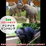 12月28日はアジアゾウとビントロング
