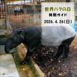 「世界バクの日」特別ガイドを開催します