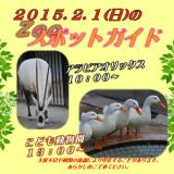 2015年2月1日(日)のスポットガイド