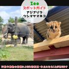 7月5日はアジアゾウとツシマヤマネコ