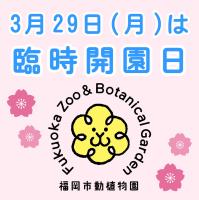 3月29日（月曜日）は臨時開園日です