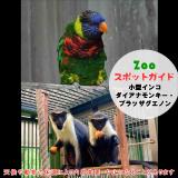 3月22日は小型インコとダイアナモンキー・ブラッザグエノン