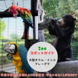 7月18日はマレーグマと大型オウム・インコガイド