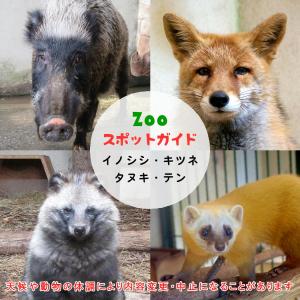 飼育員によるZOOスポットガイド。 当園に暮らす動物たちのお話を中心に、生態やエサについて担当飼育員が楽しくご紹介します。